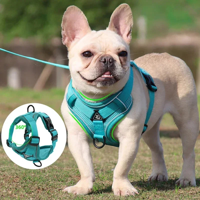 No-Pull Reflective Dog Harness & Leash Set